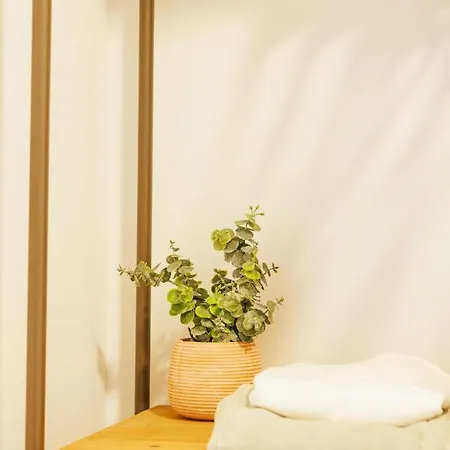 公寓 Bravissimo Mercadal 3, One-bedroom Sofa Bed 赫罗纳